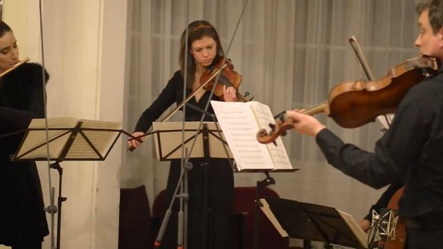 C. Ph. Stamitz: Flute Concerto in G major, op.29, III. Rondo Charity Concert смотреть онлайн