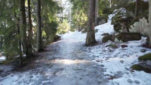 Выборгский залив близ посёлка Советский  (4K)