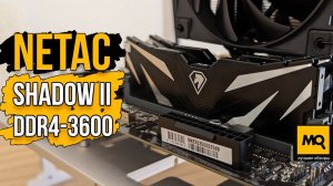 NETAC Shadow II DDR4-3600 обзор. Тесты оперативной памяти с Core i5-13400