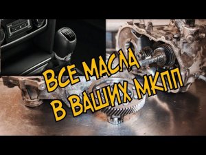Skoda: Масло Для МКПП. Все ОригМасла и Нормальная им Замена (2021)