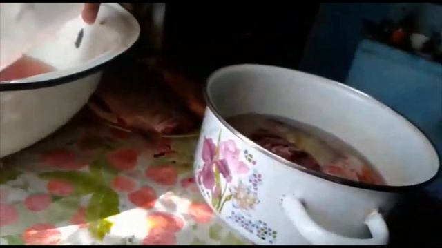 Готовим рыбу к ухе и жарке, учим селькупский язык! смотреть онлайн