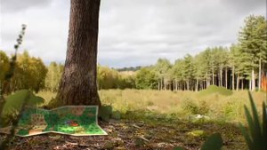 Песня Дарвина иду домой