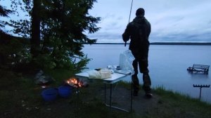Чигиринское Водохранилище. Рыбалка с Ночёвкой. Хороший клёв. Чигиринские монстры рвут поводки...
