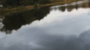 Рыбалка в Дергачах,ловим щуку