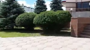 Топиарная Стрижка кустарников