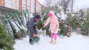 Ёлочные базары