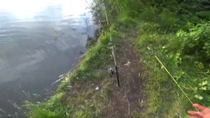 Рыбалка с ночевкой  Крупный карась и лещ Рыбалка на донки