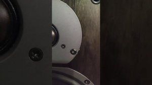 Tannoy Mercury MX4-M