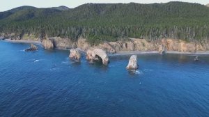 о.САХАЛИН в 4К DJI - Мыс Птичий, Великан