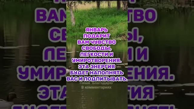 Мотивация для тебя! смотри, если плохое настроение. #аффирмации #медитация #мотивация