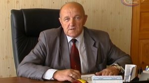Как спилить дерево по закону?