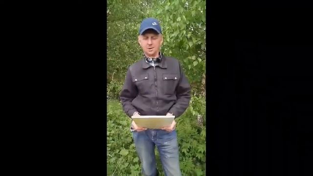 День социального работника смотреть онлайн