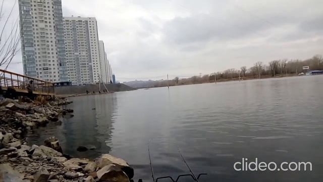 караси, лещи, сорога отчет за 25.04.2021 смотреть онлайн