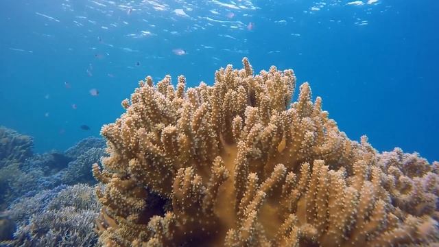 Аффирмации на каждый день смотреть онлайн