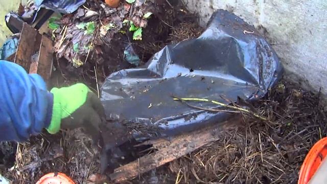 4061 Выращивание дождевого червя, питание 3 смотреть онлайн