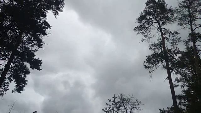 1 марта  Осип Мандельштам * * * «Ни о чем не нужно говорить...»