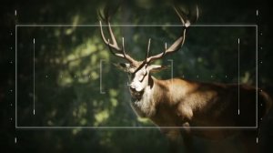 Honda CR-V. На шаг впереди