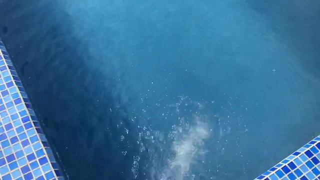 Обеззараживание воды в бассейне биопагом. Прогрев воды в бассейне через солнечный коллектор. смотреть онлайн