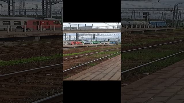 Утро, электричка, Дача)