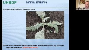 Вебінар «Успішні історії нішевих культур: Артишок»