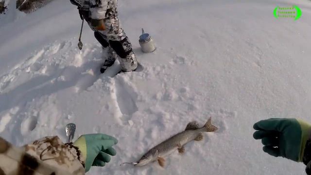 Рыбалка на Ишиме смотреть онлайн