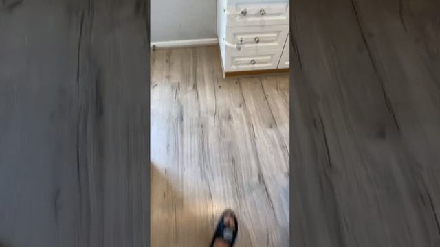 Out of the lab today #homelab #network #proxmox #business #informationtechnology #docker смотреть онлайн