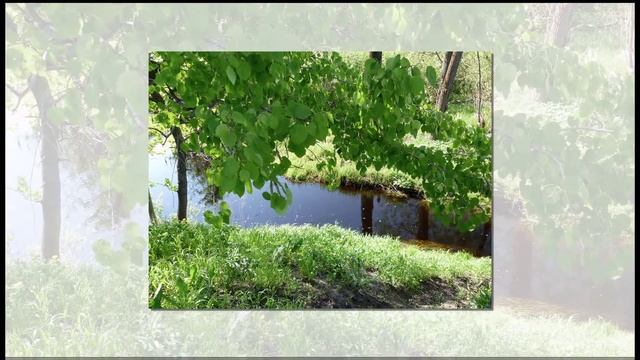 Микрорайон Любятово смотреть онлайн