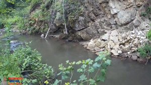 поселок Каменка.Курьинский район.