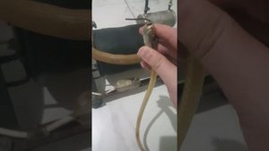 Многофункциональное устройство из холодильного компрессора