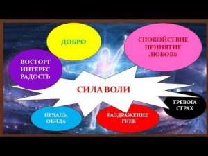 "Что такое Воля?" Видео - курс осознанности для детей и взрослых.