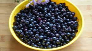 Заливной пирог с персиками и голубикой