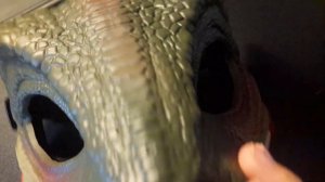 МНЕ КУПИЛИ МАСКУ РАПТОРА!!)))