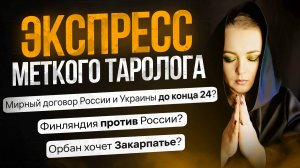 Экспресс Меткого Таролога  20.07