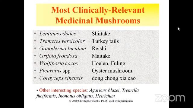 Medicinal Mushrooms with Christopher Hobbs