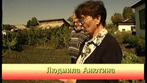 Как бороться с подгрызающей совкой? Урожайные грядки.