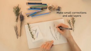 *Anzeige | DIY Botanical Lavender Illustration with Botanicals Fresh Care