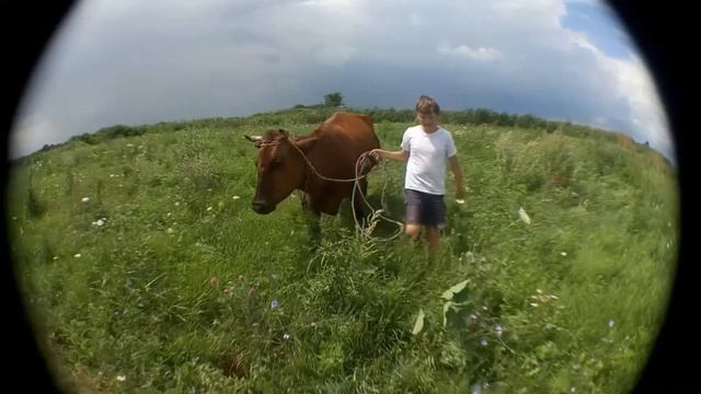 Идем за телочкой смотреть онлайн