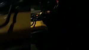 Стелс динли 600