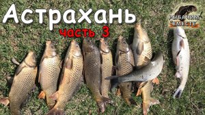 Рыбалка в Астрахани. Готовим САЗАНА, итоги рыбалки. Часть 3.mp4
