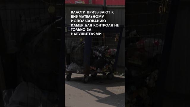 О контейнерных площадках