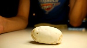 ЧТО ВНУТРИ САМОГО ПЛОХОГО ЯЙЦА ЯДОВИТОЙ ЗМЕИ? Продолжаем вскрывать кладку тайпана. Snake Egg Cuttin