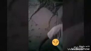 #Vlog☀Я стала бабушкой ???