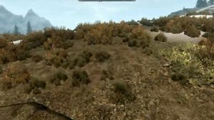 Skyrim Mod Showcase: The TARDIS Mod