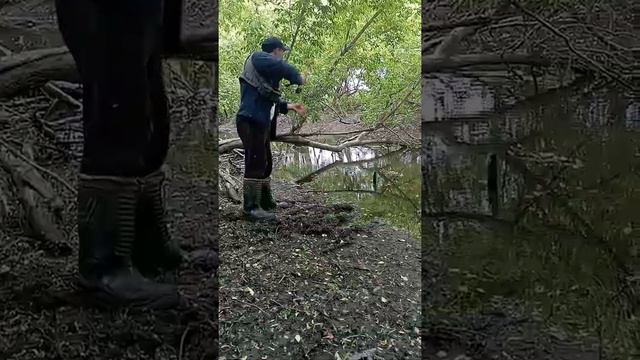 Ловля окуня и щуки на р. Уды ультралайтом