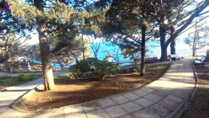 Крым. ЮБК. Гаспра. Немножко парка и Море... ❤️ 21.04.2022