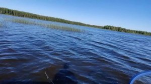 На рыбалку только с СОЛЬЮ и ВОДКОЙ. ДИКАРЬ ЛЕТОМ часть 1