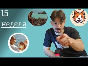 Работа в IT. 15 неделя. Кто в IT должен получать 400к.Итоги 1го спринта в Pet-проекте. Почта в Сбере