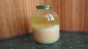 Квас из овса без дрожжей