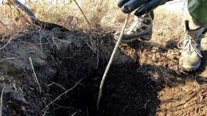 САЖАЕМ засухоустойчивые ДЕРЕВЬЯ для борьбы с ОПУСТЫНИВАНИЕМ