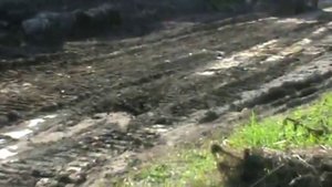 Планировка участка бульдозером